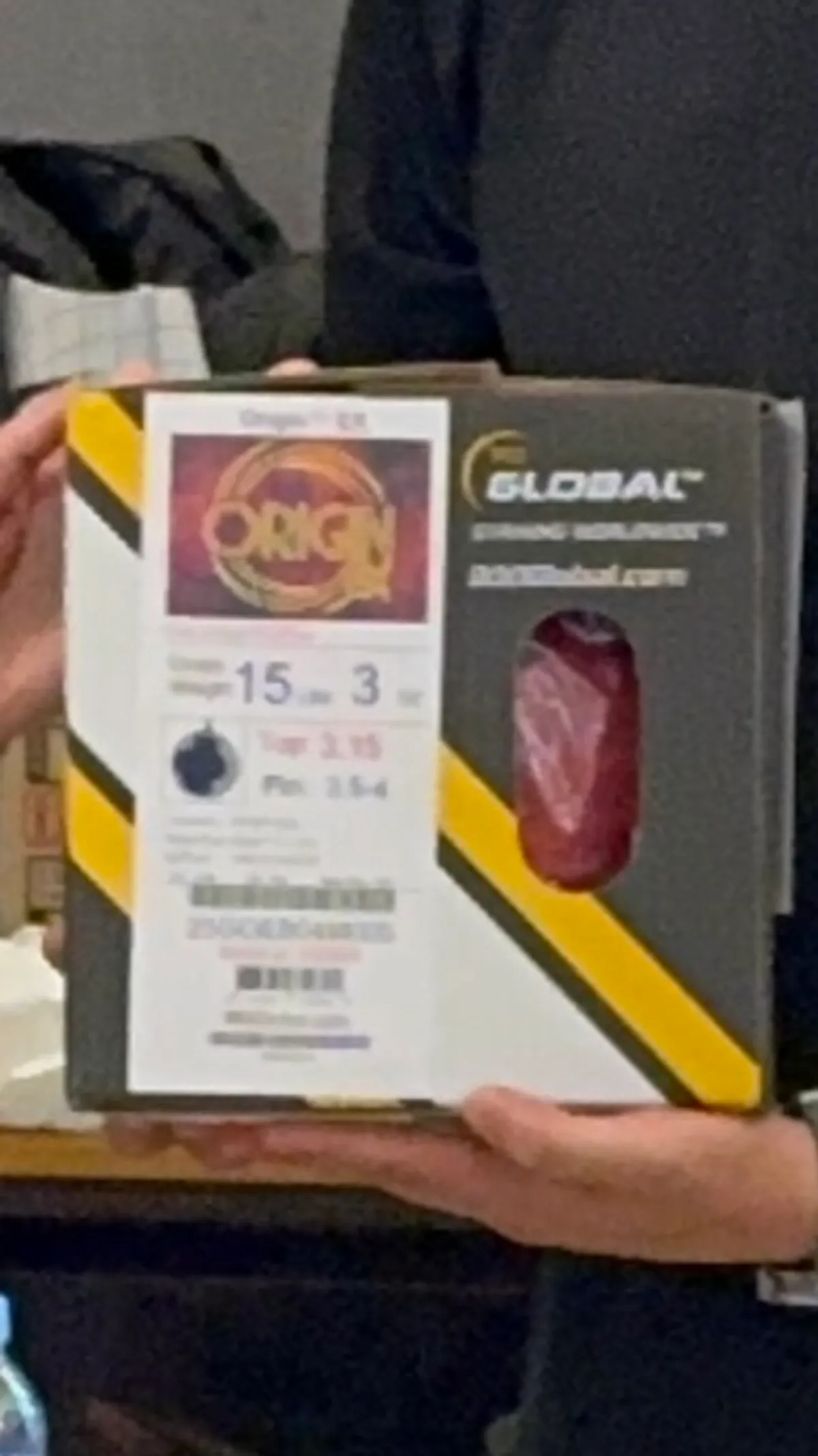 오리진EX 15P