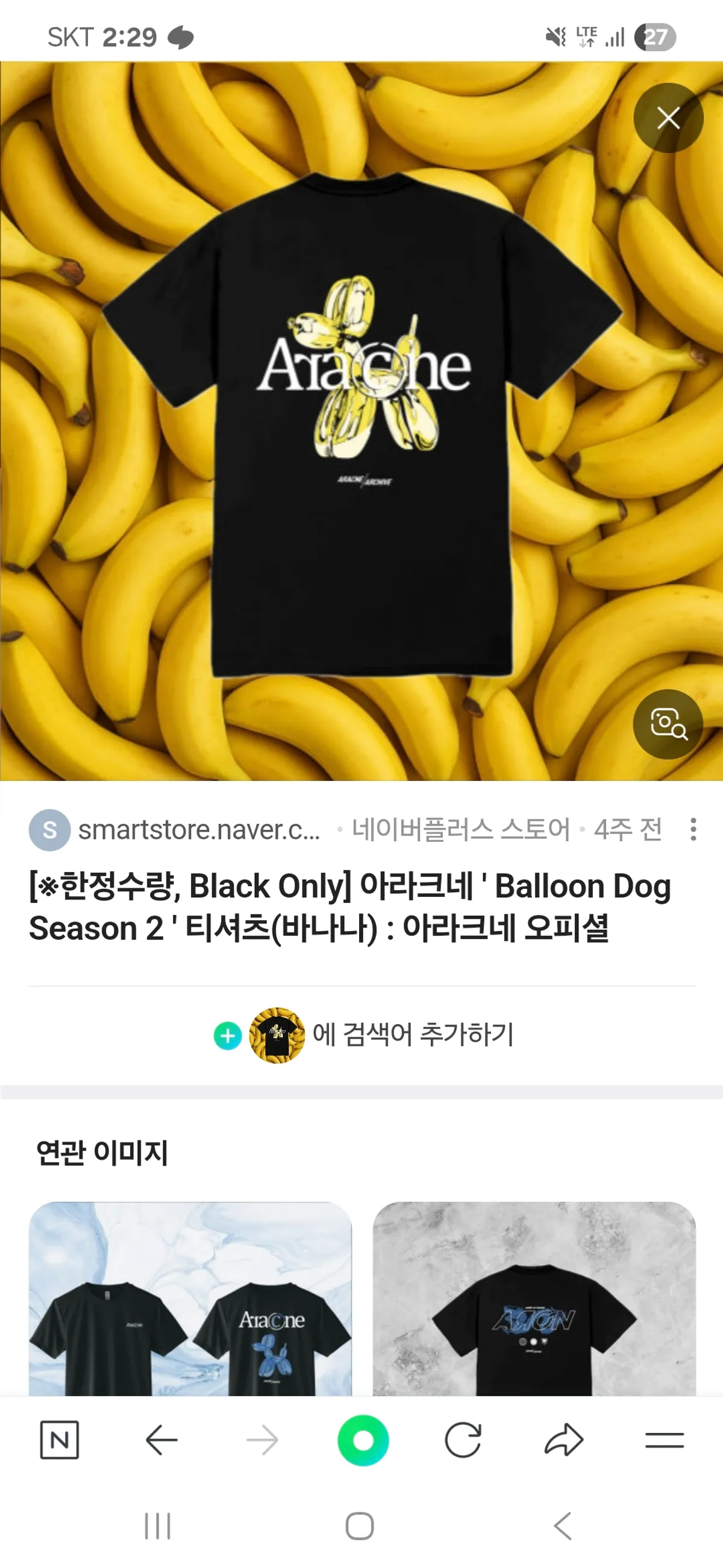 아라크네 노랑풍뎅이 120 판매