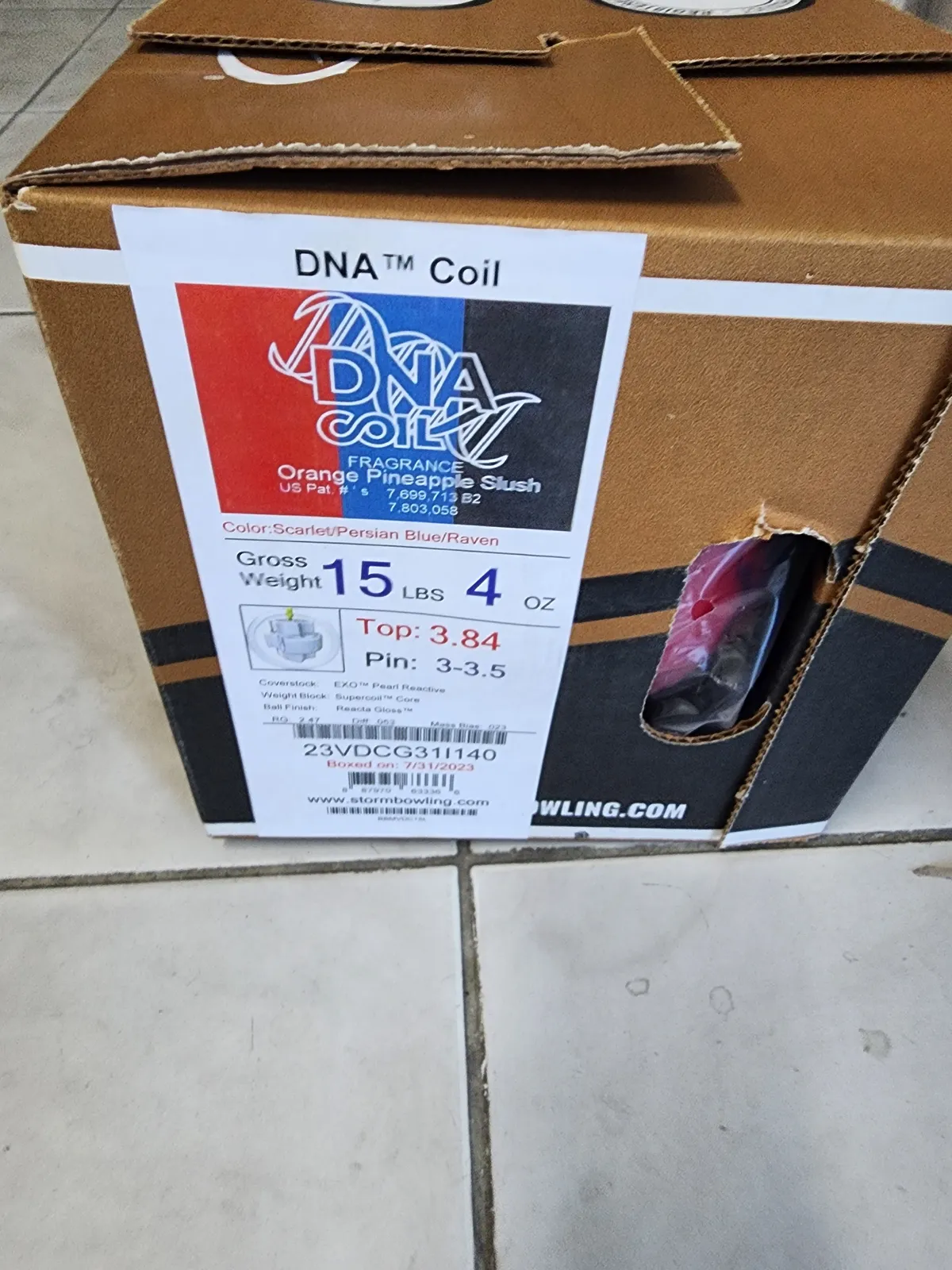 DNA코일