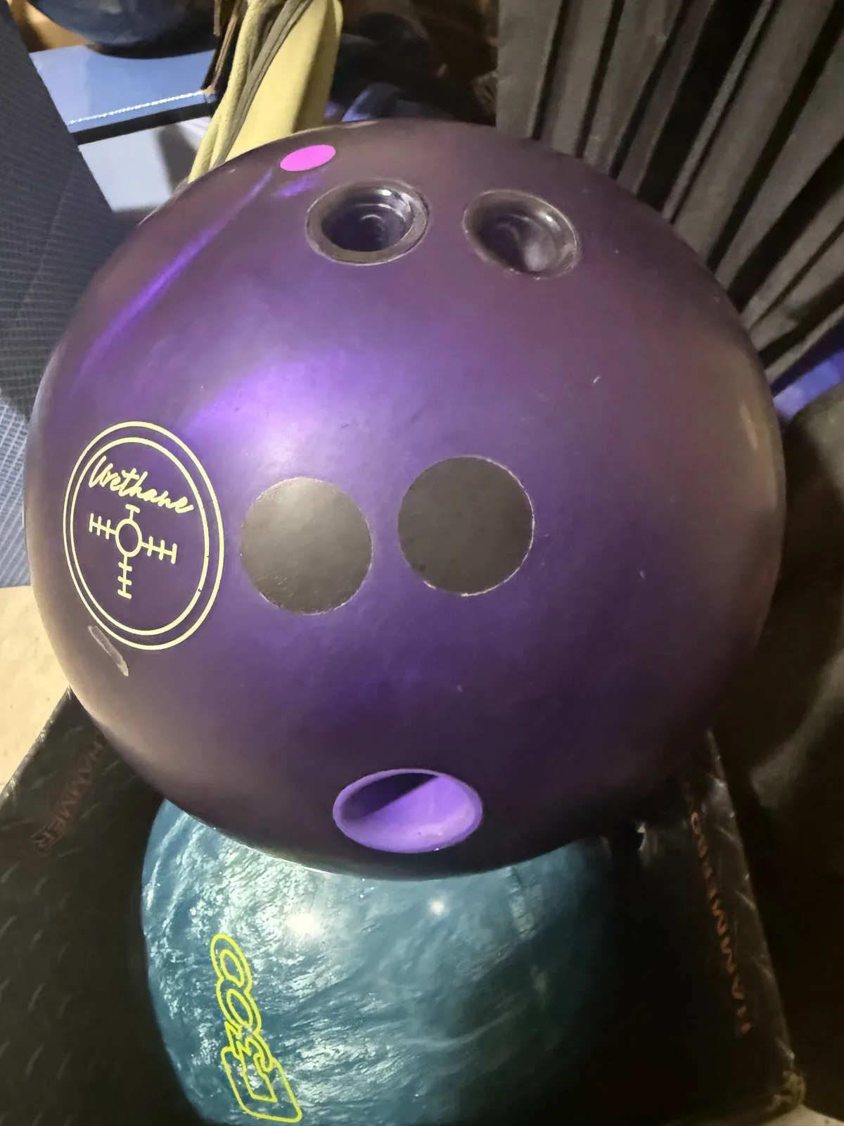 퍼플햄머 핑크핀